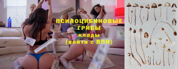 гидропоника Алексеевка